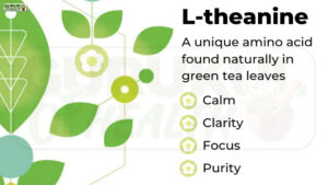 एल-थीनिन (L-Theanine): चिंता, तनाव और नींद के लिए सही उपाय