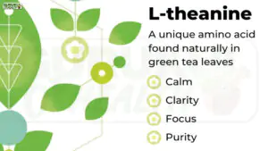 एल-थीनिन (L-Theanine): चिंता, तनाव और नींद के लिए सही उपाय