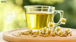 Chamomile Tea: नींद से कहीं अधिक, एक शक्तिशाली औषधीय पेय है