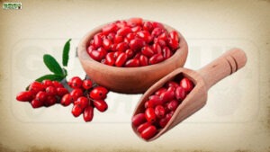 Berberine: शरीर के लिए प्रकृति का कुदरती तोहफा
