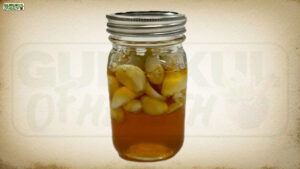 Garlic, Honey and Vinegar: दमा, गठिया, हाई बीपी और नपुंसकता भूल जाओगे