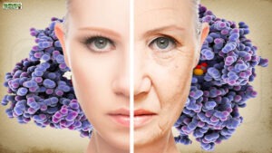 लैक्टोफेरिन (Lactoferrin): बुढापे को पास भी नहीं फटकने देता