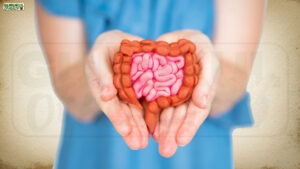 Gut Health: आंतों को ठीक रखोगे तो IBS का क्या काम?